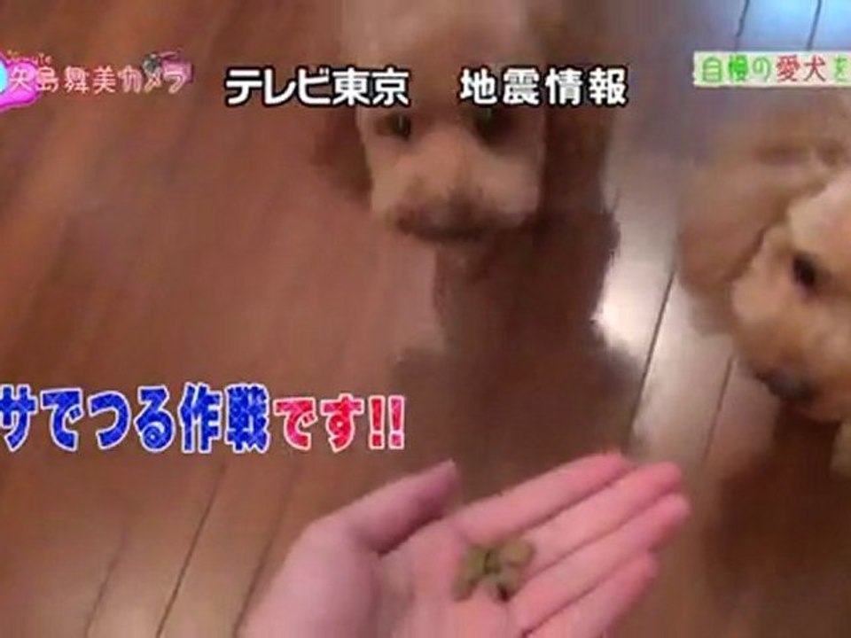 110421 HelloPro! TIME 01