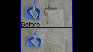 951-805-2909 Carpet Cleaner Sun City Quick Dry Carpet Cleaning -Before&After Pictures