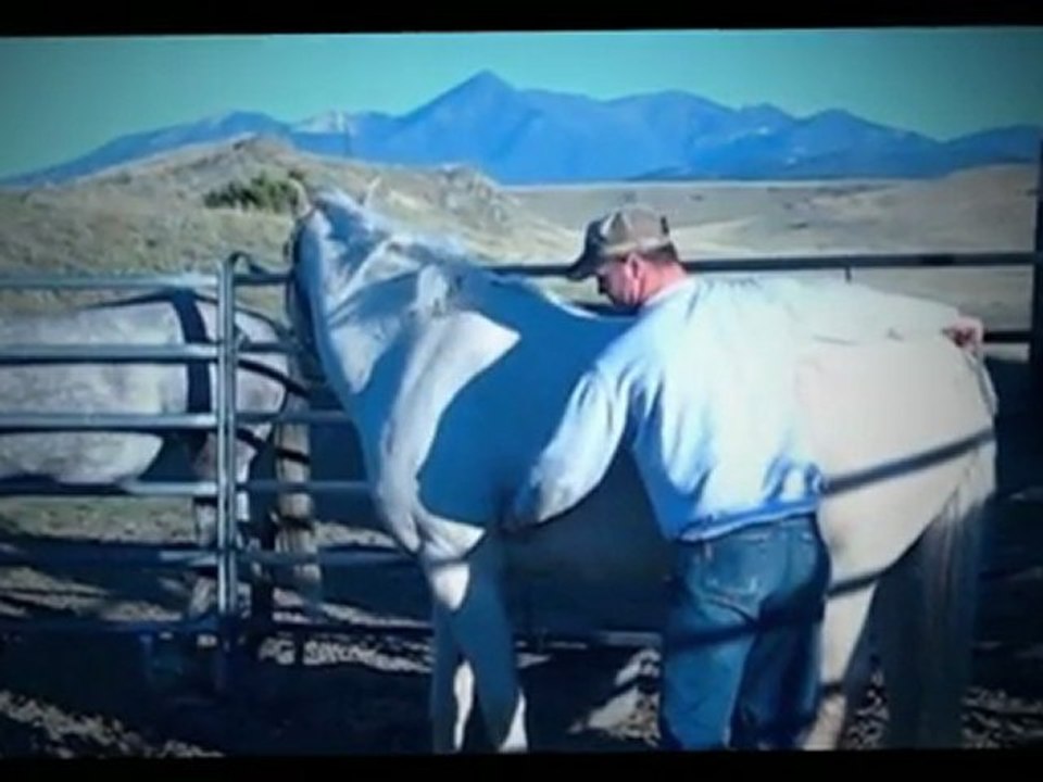 How To Hold Horse Reins