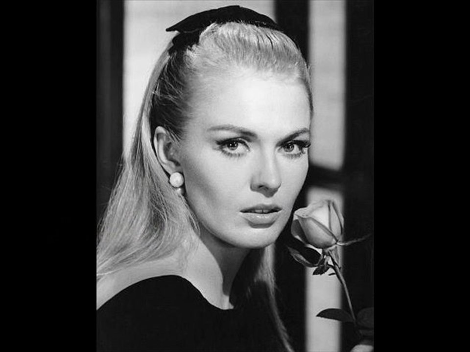 IN MEMORIAM  Vol.5  -New Version-