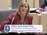 Intervention Cathy Apourceau-Poly rapport CRC lycee Gustave Eiffel 14-12-11