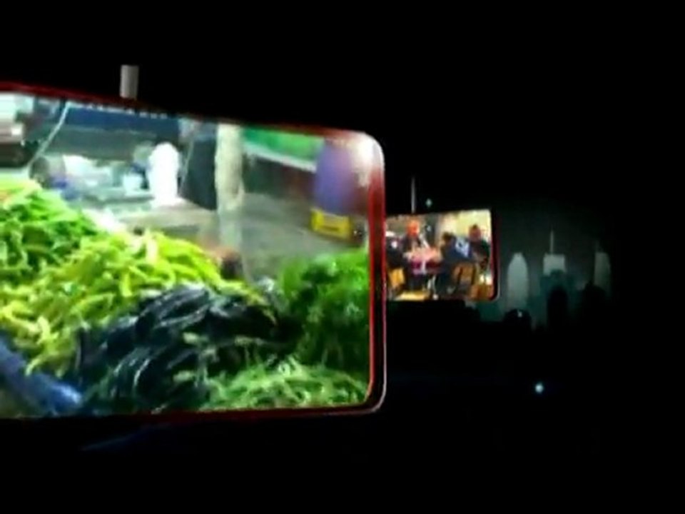 illerimiz yörelerimiz Uşak / Eşme