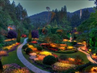 Safiye UZUN El çek tabip sinem üstünden