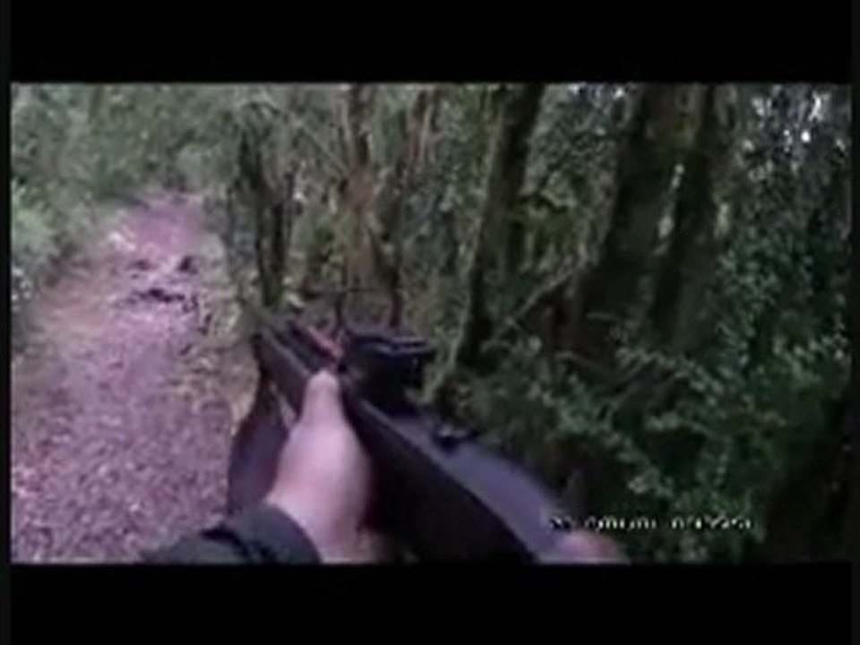 CHASSE AUX SANGLIERS DU 17.12.2011