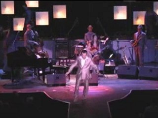 Steve Lucky and the Rhumba Bums Live