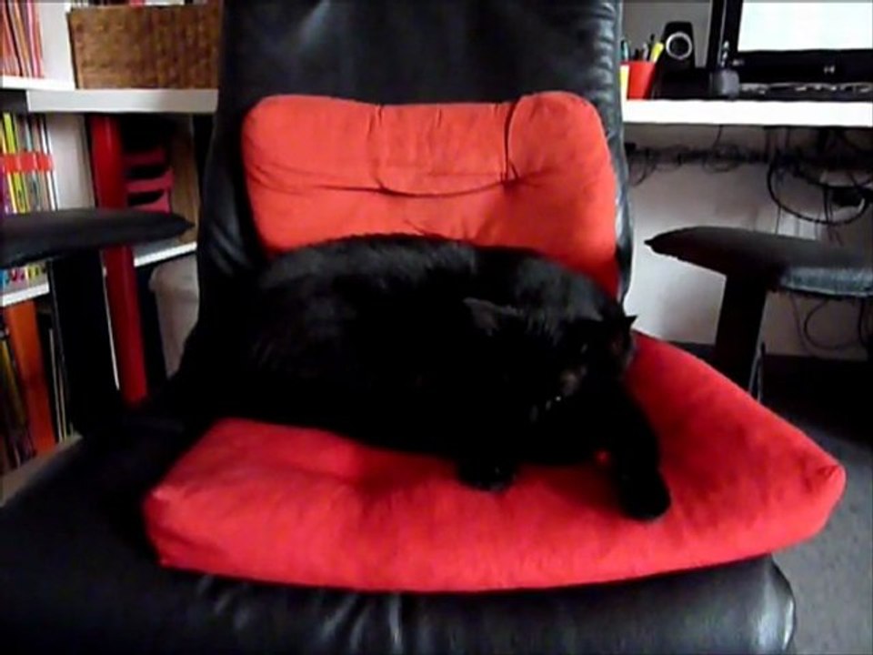 Charly vous offre 4 minutes de tranquilité