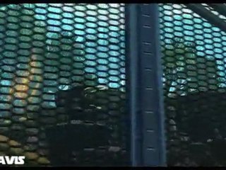 Présentation de Belsavis