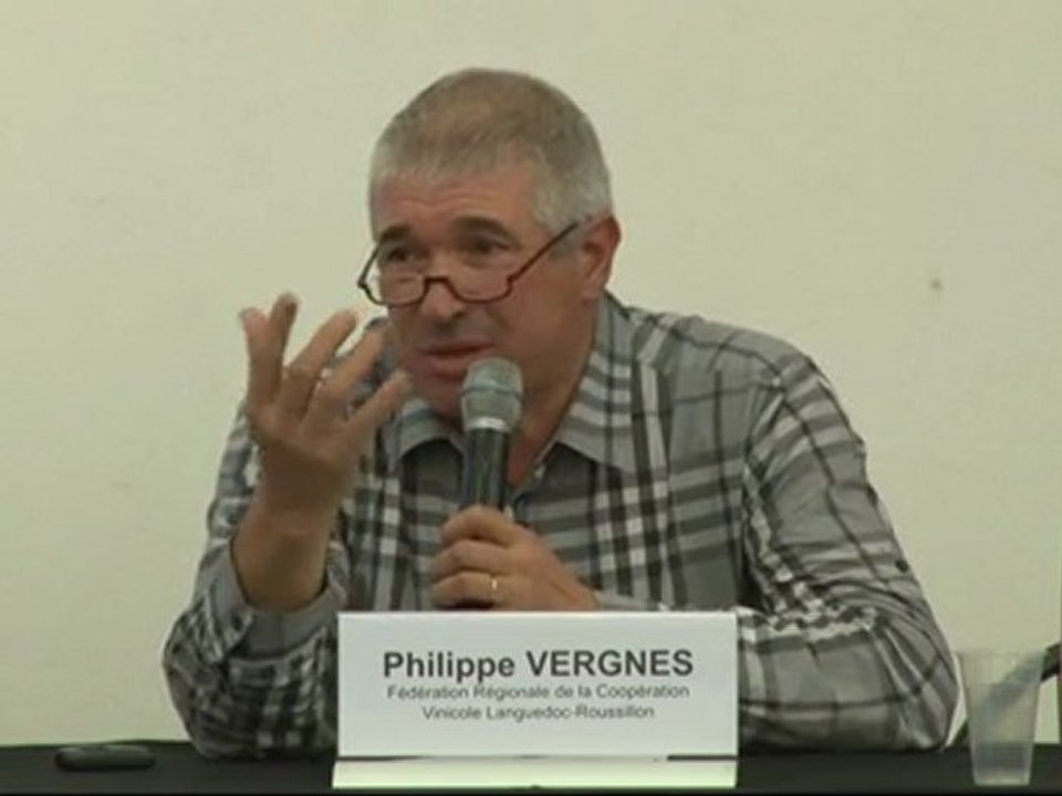 Intervention Philippe Vergnes 