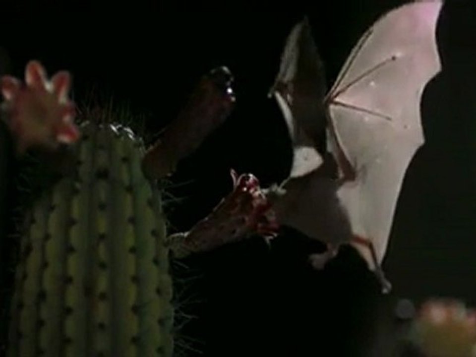 yavas cekim doga güzellikleri