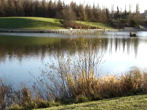 Aulnay-sous-Bois : Parc du Sausset 18 décembre 2011