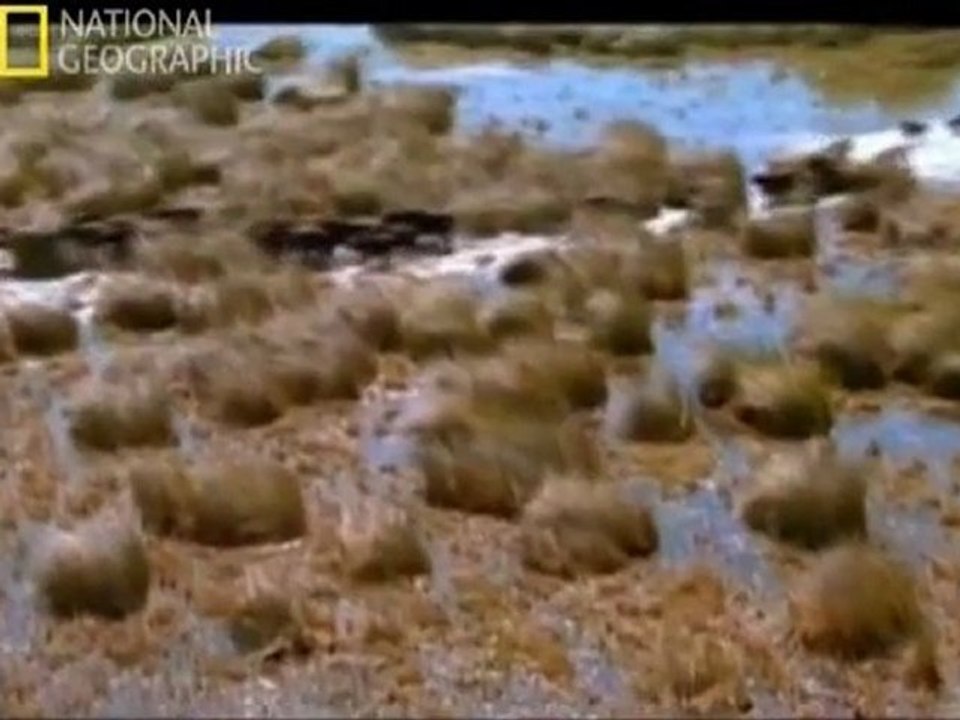 KUSURSUZ KATiLLER AFRiKA