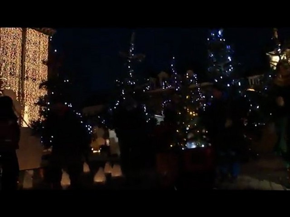 Mon film les dances des sapins