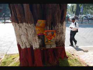 extrait émission les abeilles" Polavof et Krok en tout" inspecteur