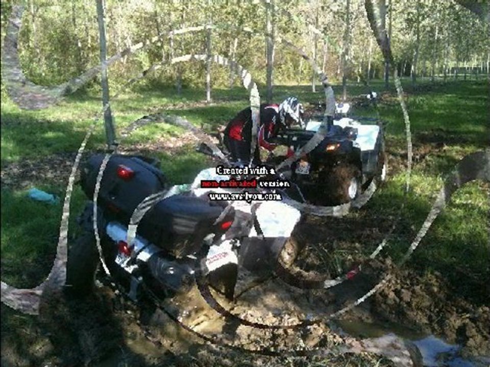 quad