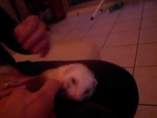 qui a dit que  beau titi n etait pas calin........