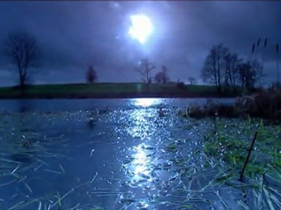 Vivaldi ♪ Les 4 Saisons Seasons * Hiver Winter ▪J.Fischer