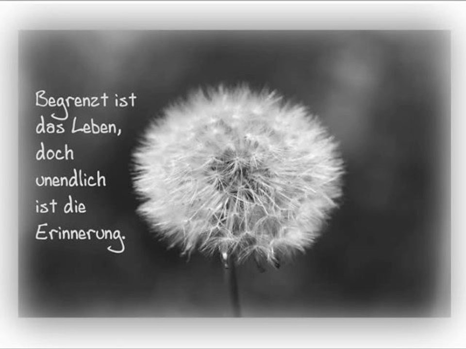 Baba Saad feat Joka - Um uns herum