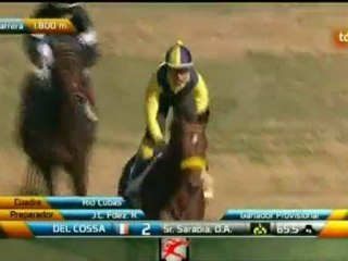 2011.12.18, nº 559 DH (Urbaser (AyG) Del Cossa