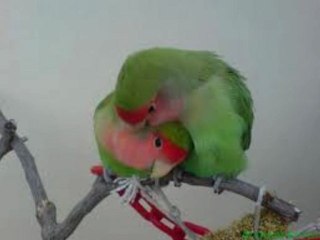 kerpiç kerpiç üstüne