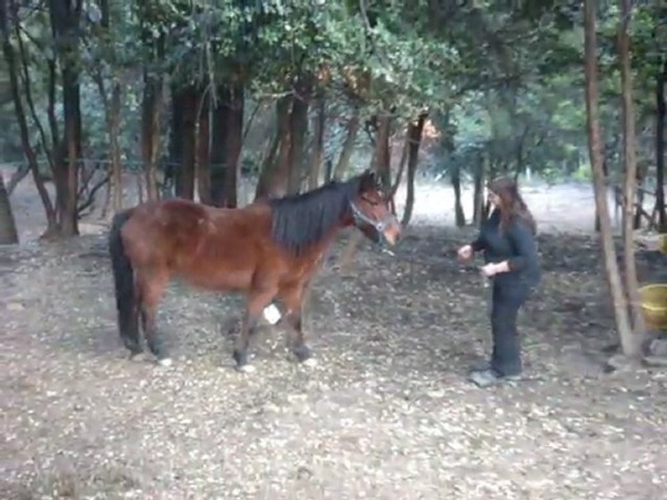 Leeloo, 18 decembre 2011(2)