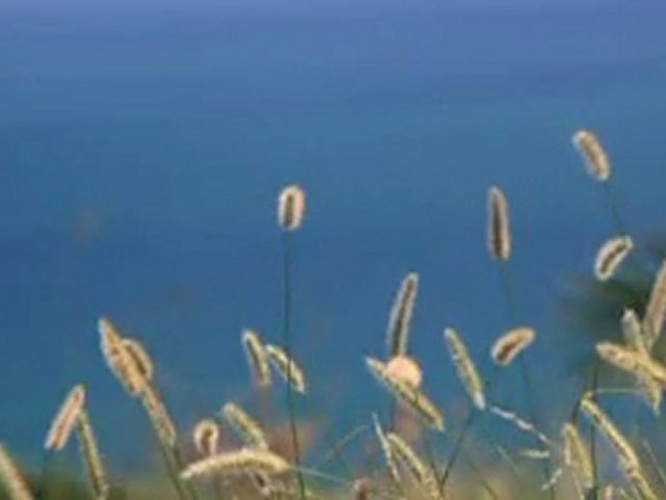 My Video