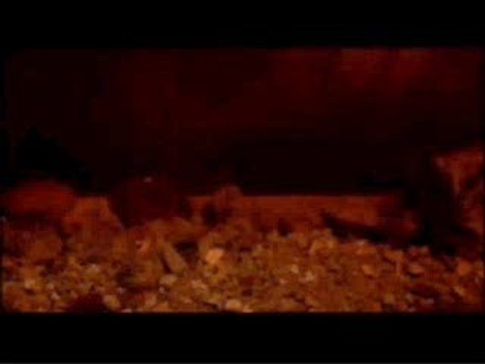 lord of the ring partie 2