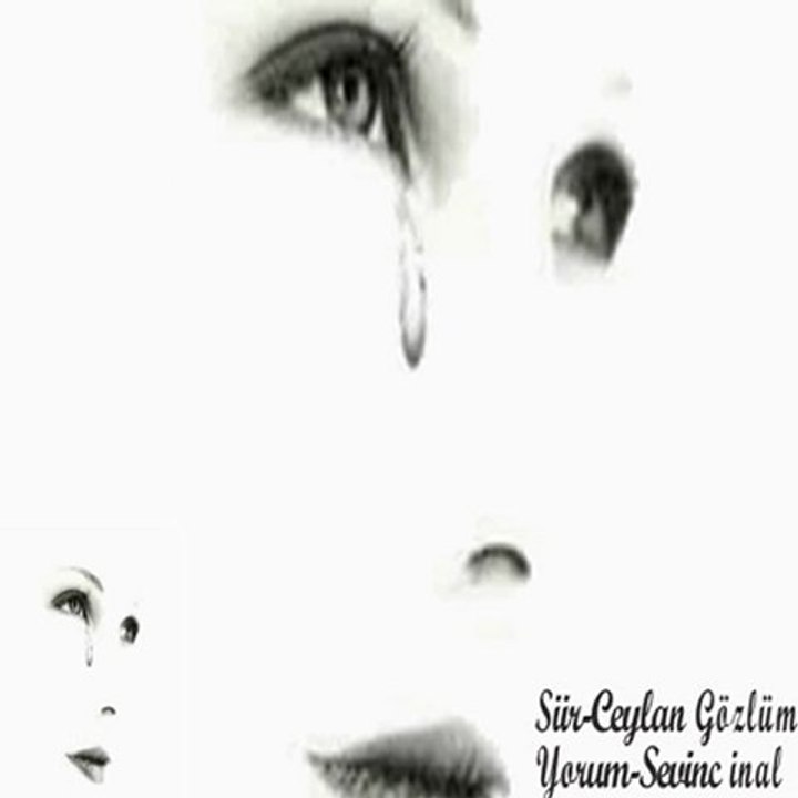 sadece bir gün diliyorum ( şiir..ceylan şentürk )