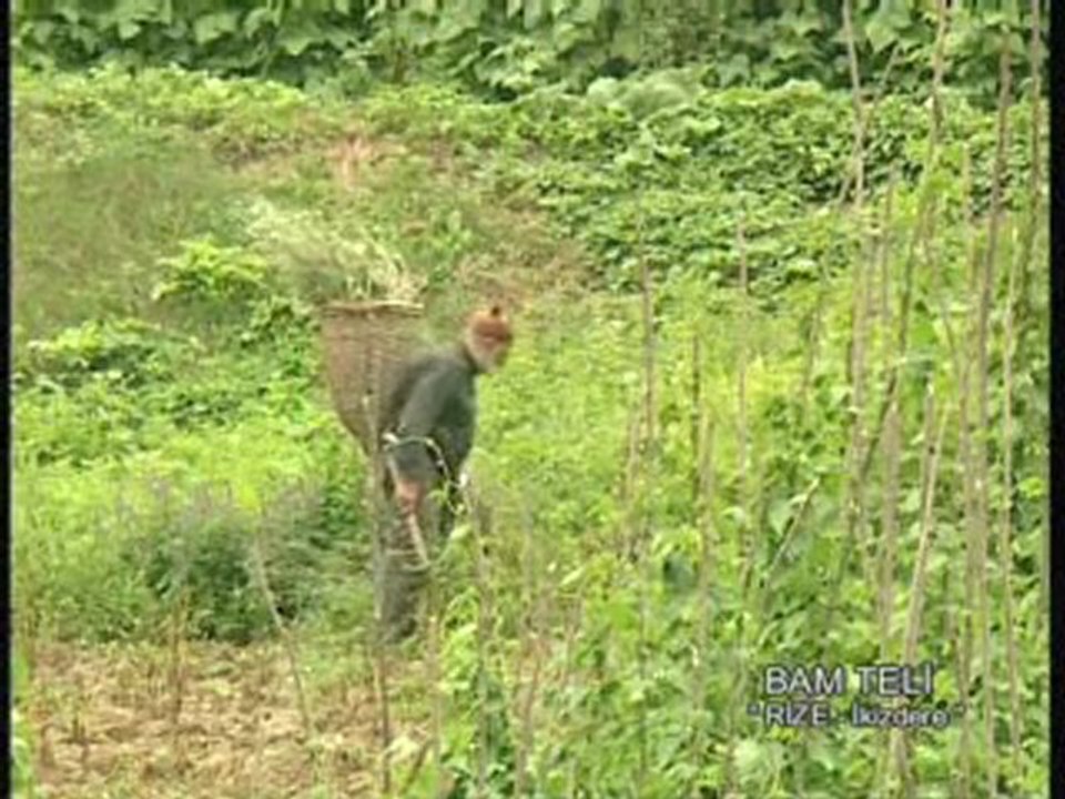 ikizdere'de çekilen belgesel Bölüm (2)