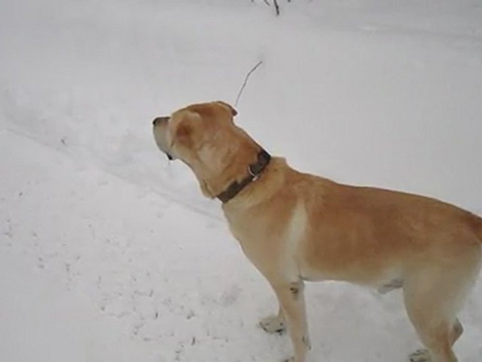 Thalès aime la neige 22.12.11
