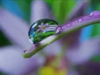 Şimdi başını kaldır, şu kâinata bir bak, onun ile bir konuş.