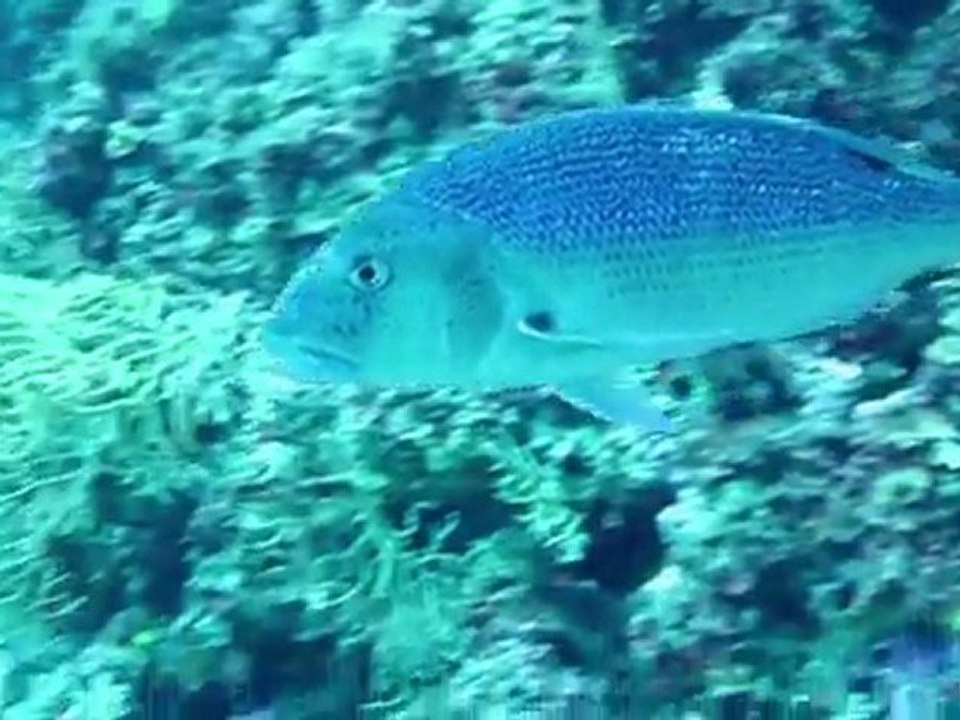 Underwater