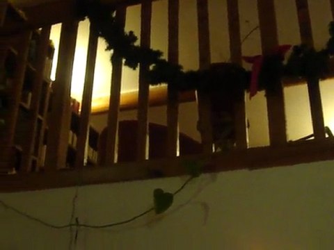 Décembre 2011 décos Noel