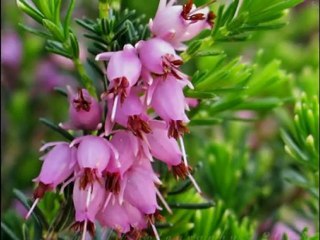 Mój pachnący Świat