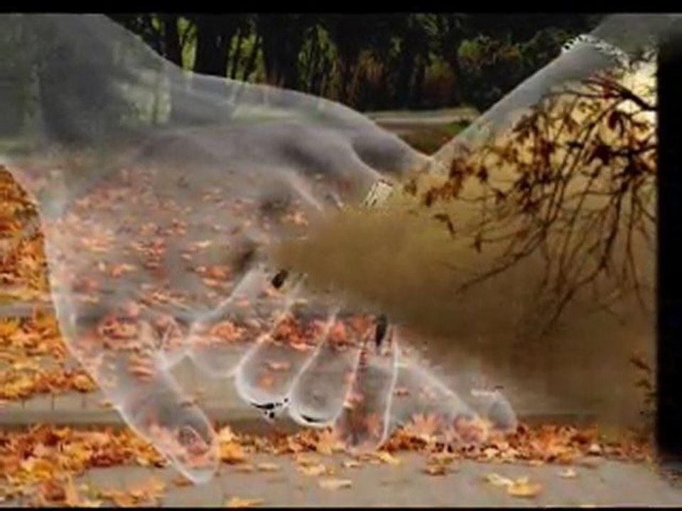 Yavuz Bingöl...Zamansız şehire dönmek.