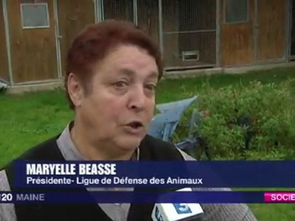 PENSION POUR ANIMAUX A NEUVILLE SUR SARTHE POUR LES VACANCES