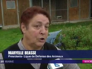 PENSION POUR ANIMAUX A NEUVILLE SUR SARTHE POUR LES VACANCES
