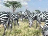 Afrika (PS3) - Trailer E3 2006