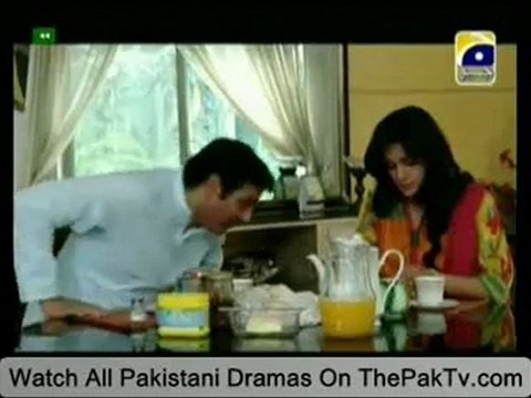 Jo Chaley Tou Jaan Se Guzar Gaye Episode 12 By Geo Tv - Part 4/4