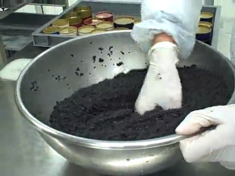 Salage du caviar (c) Papilles et Pupilles