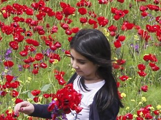 Strange Facts About Kim Jong-il