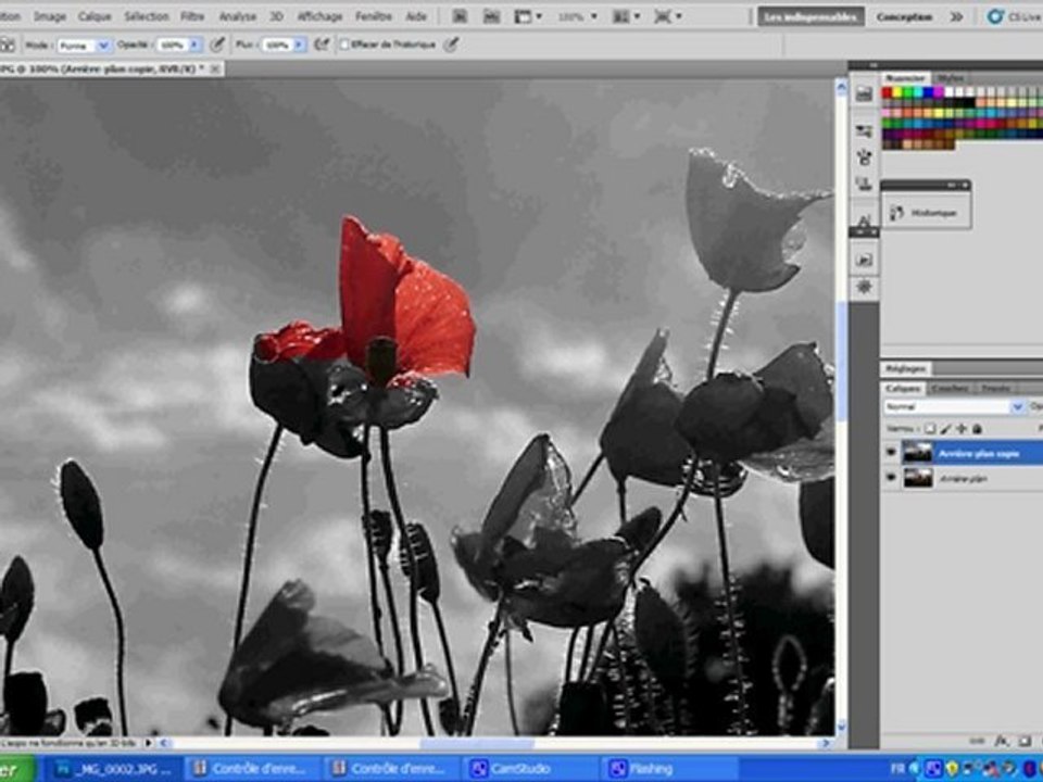 tutocoquelicot
