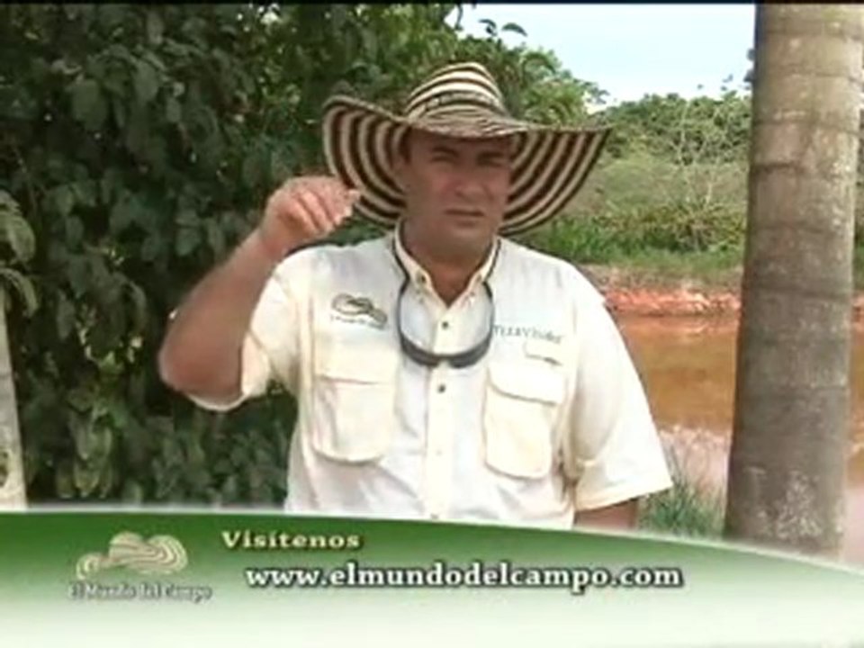 1_19 DICIEMBRE 2011 gira ganadera del meta
