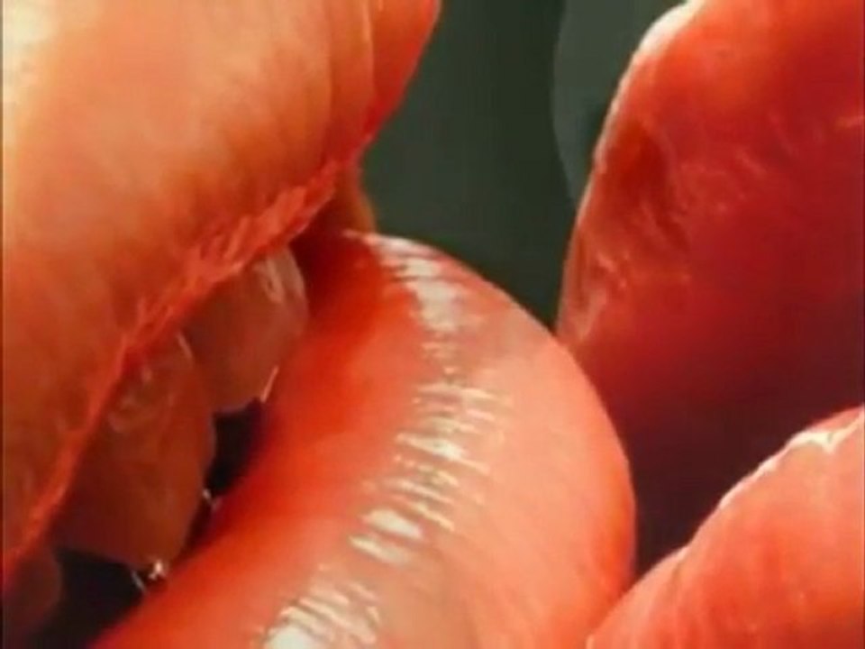 Je Touche Ta Bouche : Comment  Descendre Sur Une Femme