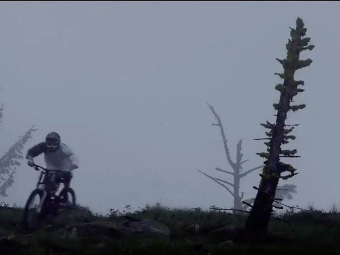 ⁣[MTB] Life Cycles - Ice HD 2010 [Goodspeed]