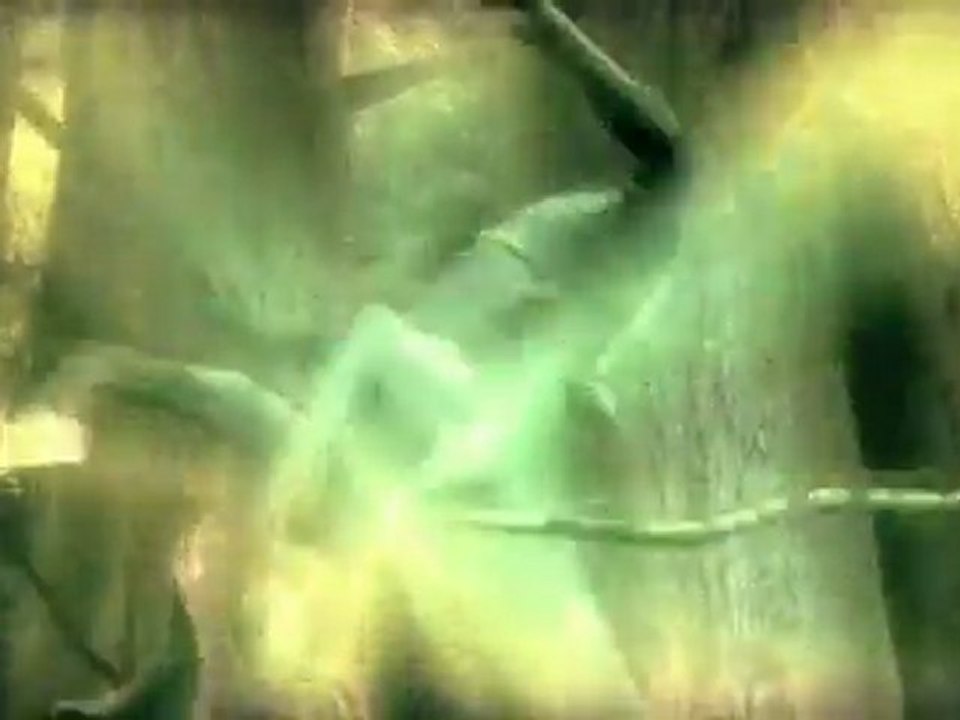 Harry Potter et l'Ordre du Phénix (PS3) - Deuxième trailer