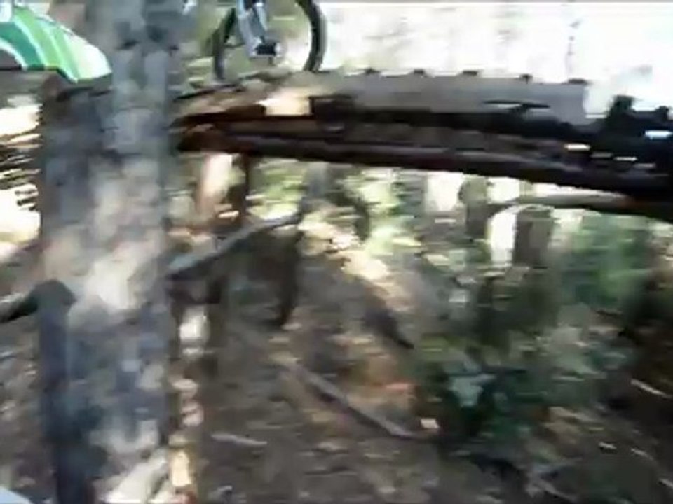 Bigue crash