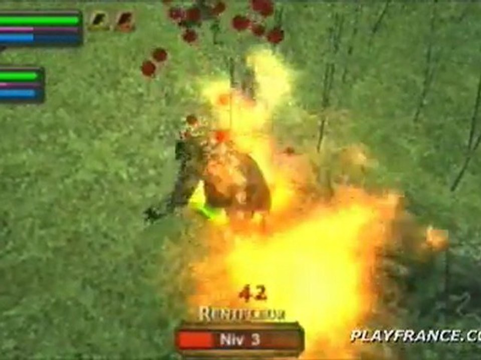 Dungeon Siege : Throne of Agony (PSP) - 10 minutes de Dungeon Siege