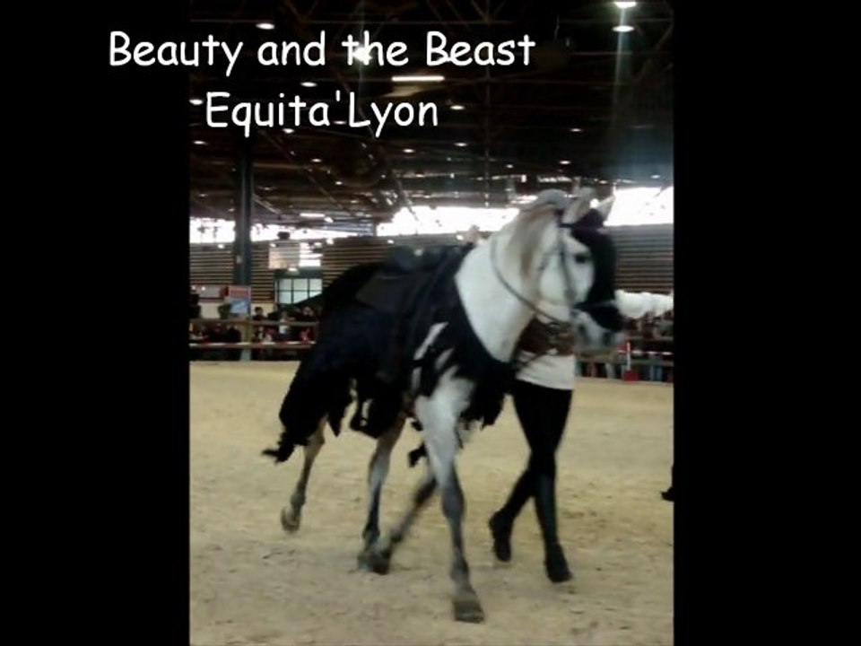 Pot pourris équestre et fufesque