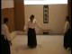 Aikido Randori by Mario Gunter Frastas