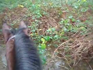 19 Décembre 2011 - Gué